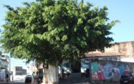 Bairro de Sussuarana